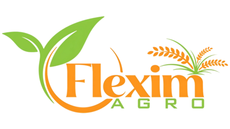 Flexim